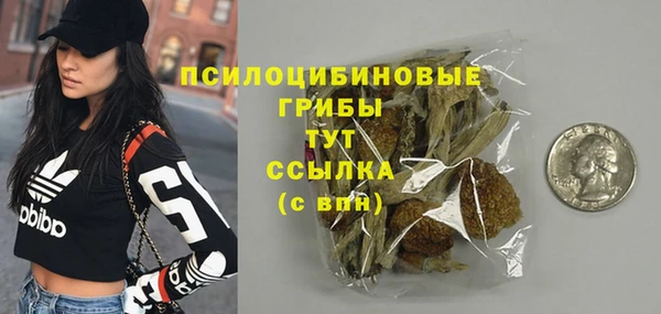 ГАЛЛЮЦИНОГЕННЫЕ ГРИБЫ Балахна