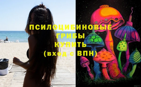 ГАЛЛЮЦИНОГЕННЫЕ ГРИБЫ Балахна